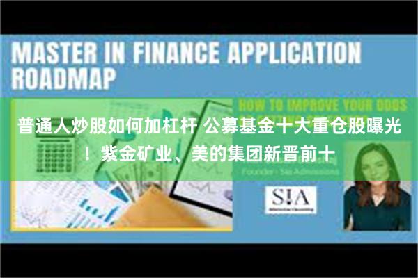 普通人炒股如何加杠杆 公募基金十大重仓股曝光！紫金矿业、美的集团新晋前十