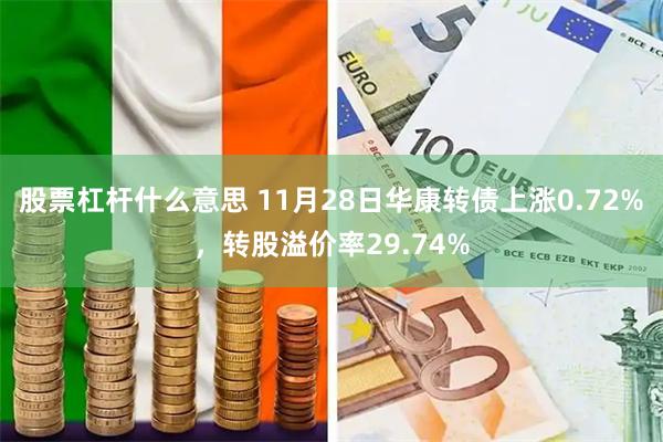 股票杠杆什么意思 11月28日华康转债上涨0.72%，转股溢价率29.74%