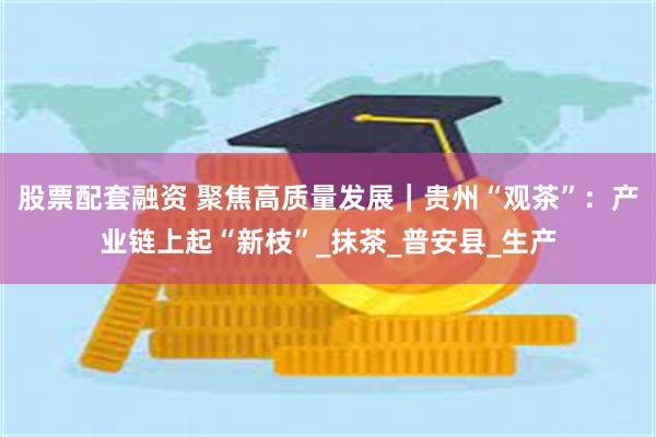 股票配套融资 聚焦高质量发展｜贵州“观茶”：产业链上起“新枝”_抹茶_普安县_生产