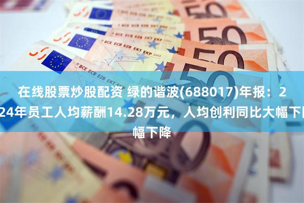 在线股票炒股配资 绿的谐波(688017)年报：2024年员工人均薪酬14.28万元，人均创利同比大幅下降