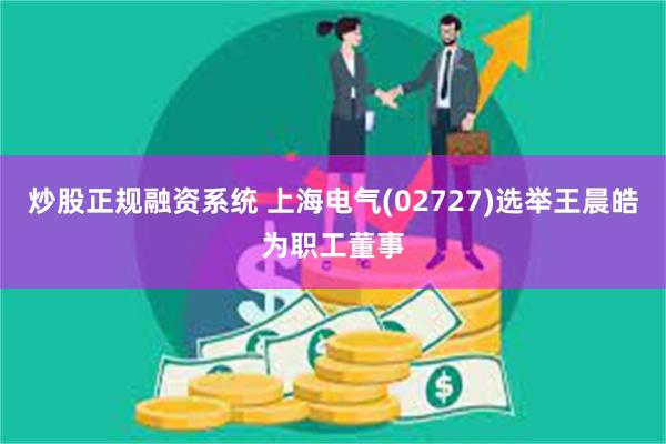 炒股正规融资系统 上海电气(02727)选举王晨皓为职工董事