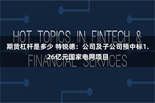 期货杠杆是多少 特锐德：公司及子公司预中标1.26亿元国家电网项目