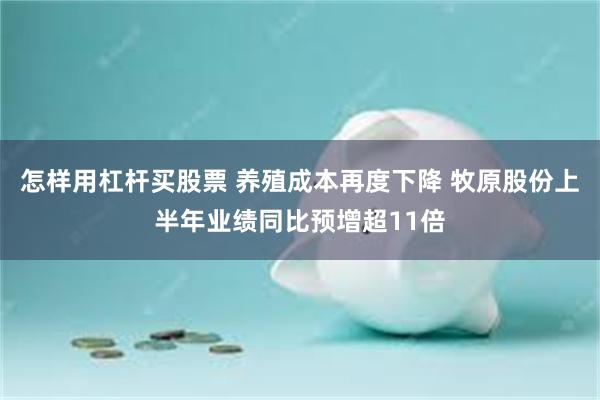 怎样用杠杆买股票 养殖成本再度下降 牧原股份上半年业绩同比预增超11倍