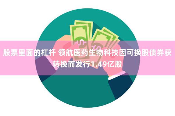 股票里面的杠杆 领航医药生物科技因可换股债券获转换而发行1.49亿股