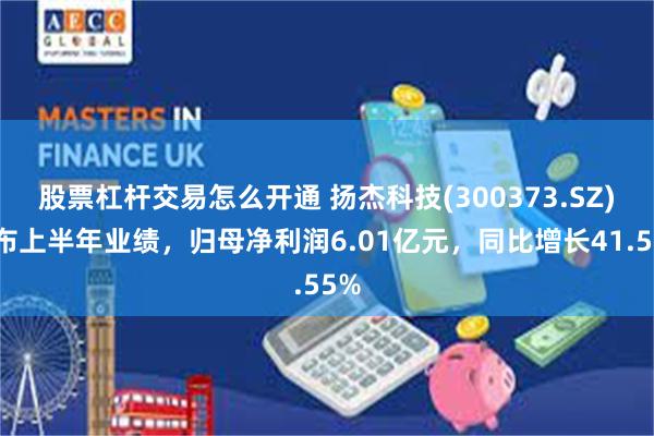 股票杠杆交易怎么开通 扬杰科技(300373.SZ)发布上半年业绩，归母净利润6.01亿元，同比增长41.55%